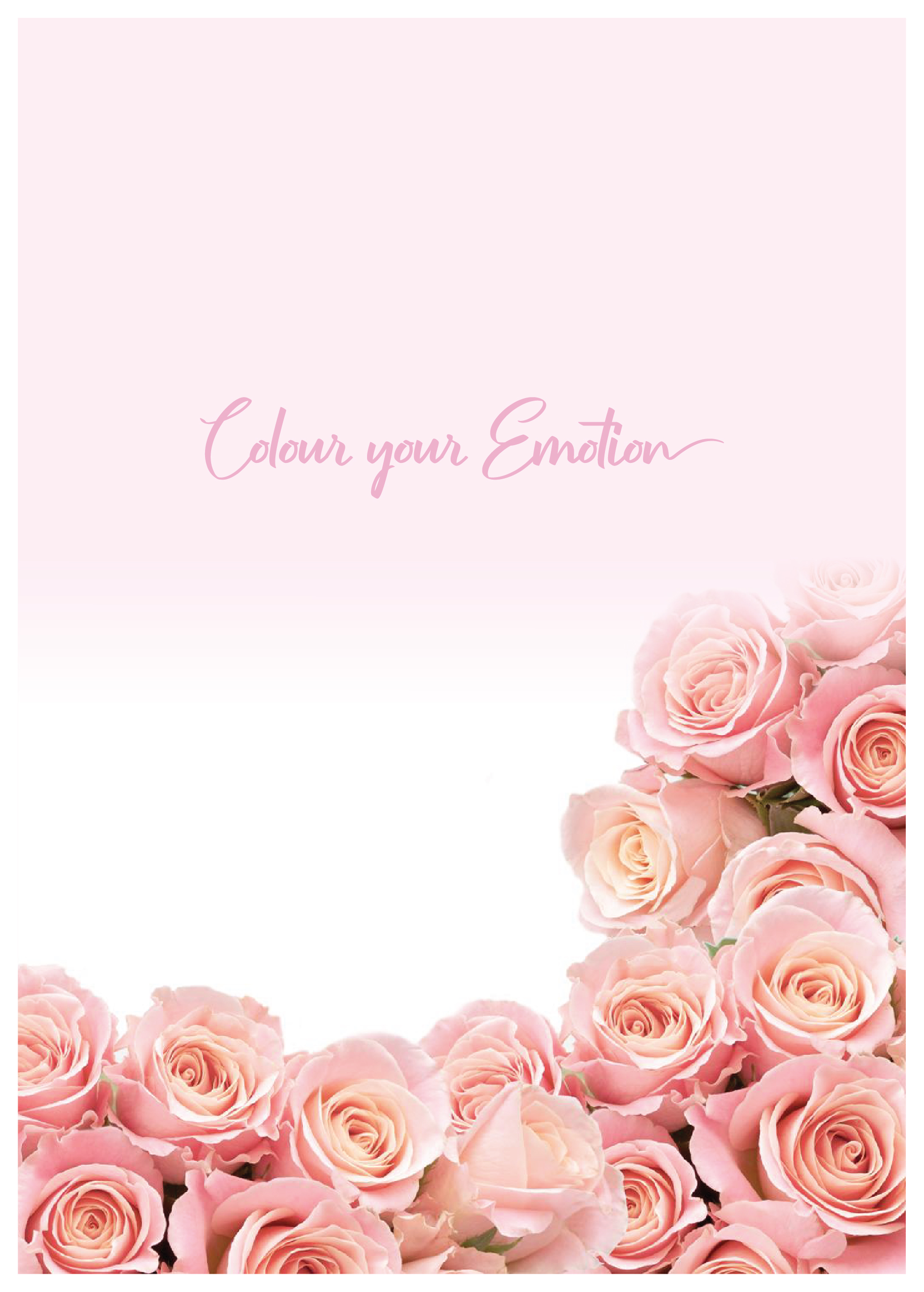 AAA Roses
