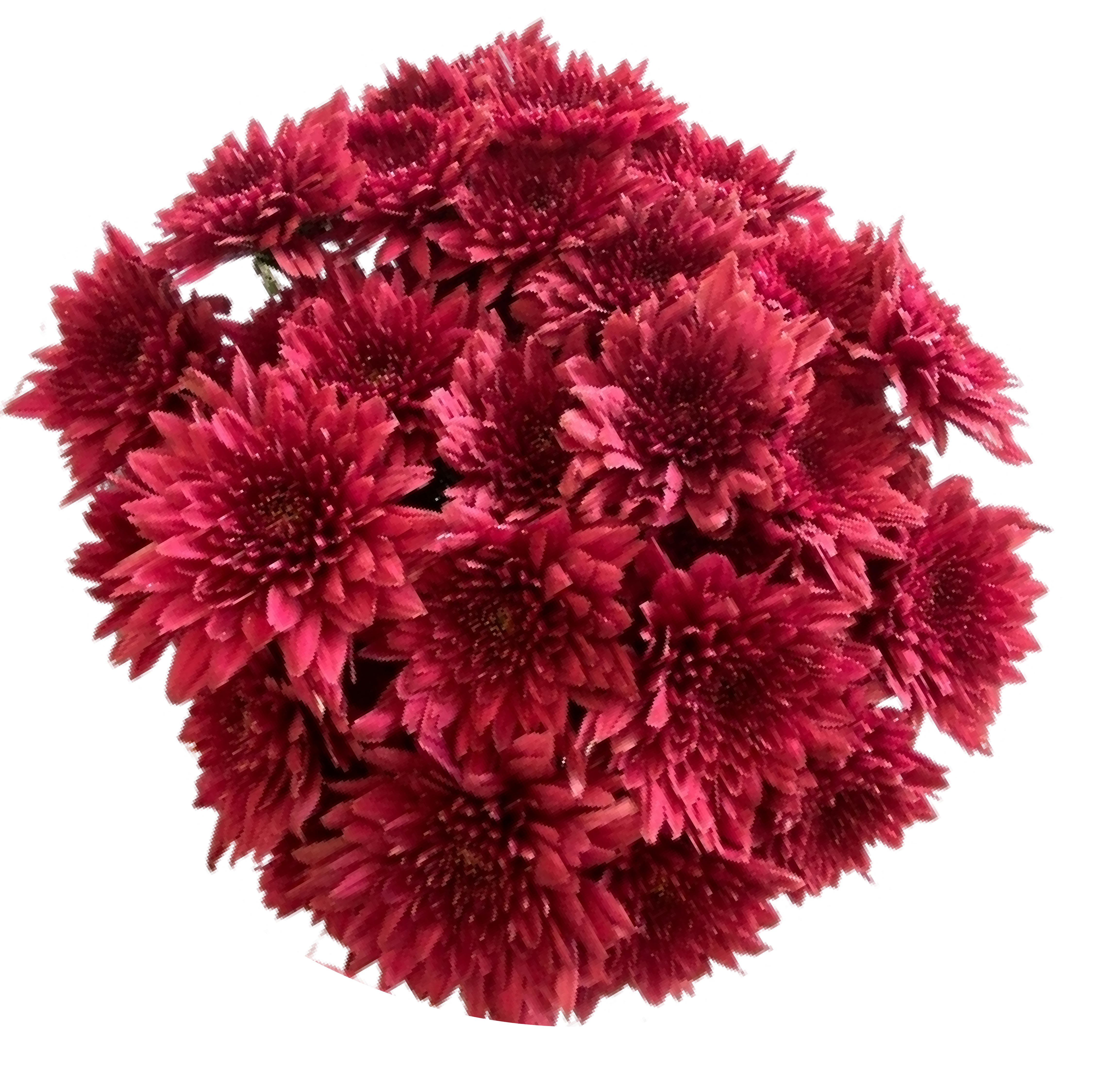 Natural wildflower arrangement