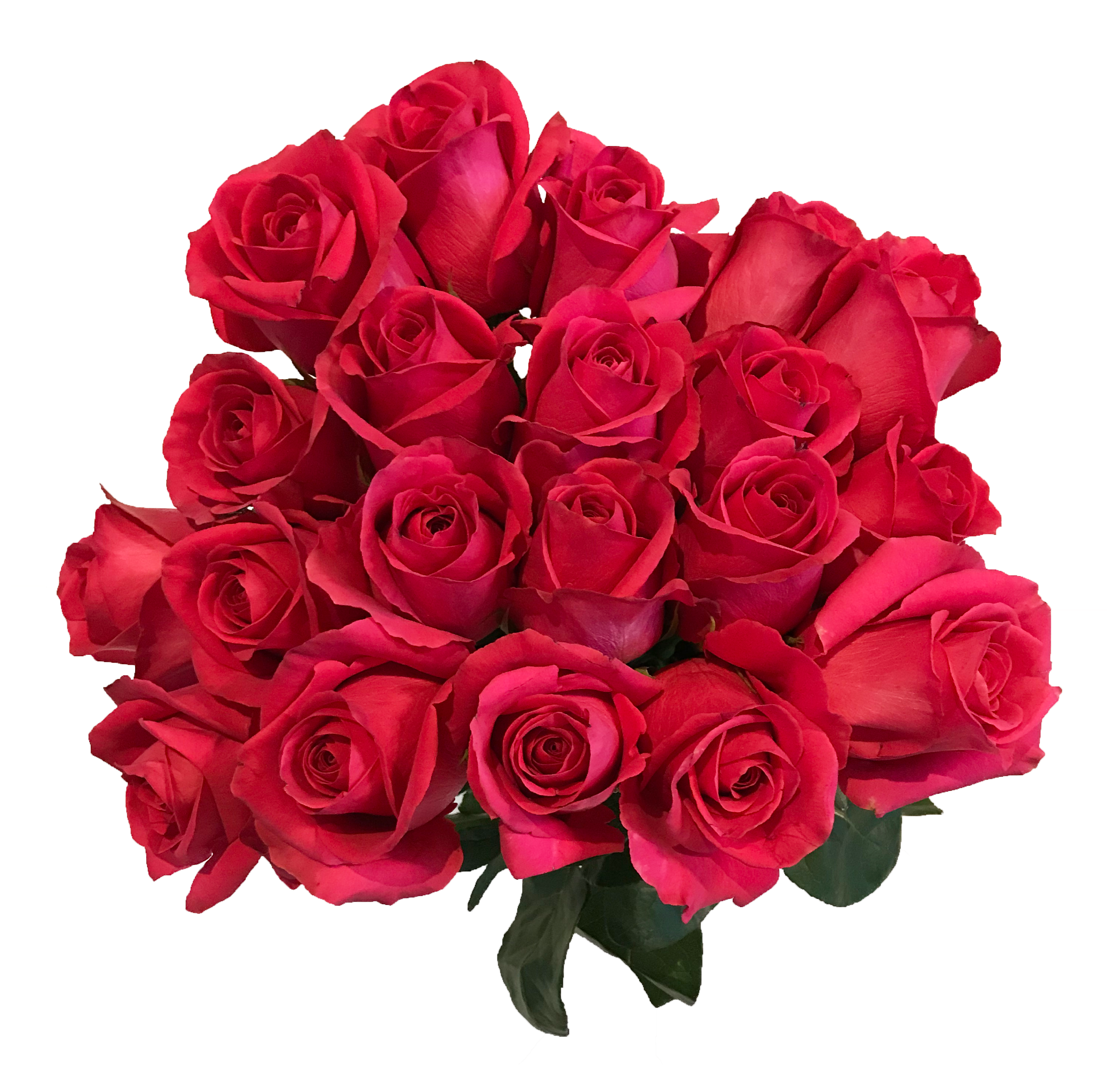 Rose 2