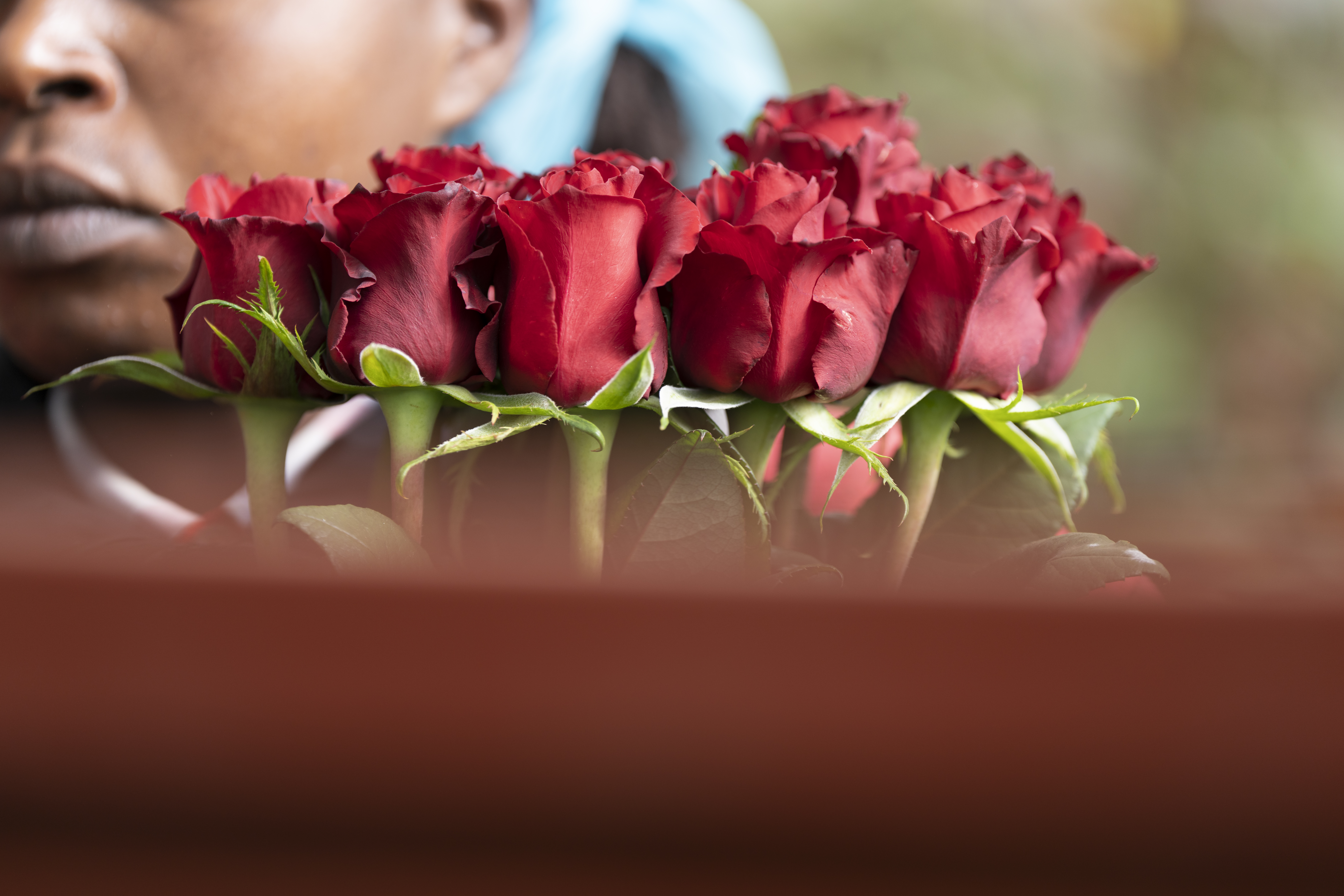 Roses grown by AAA Growers