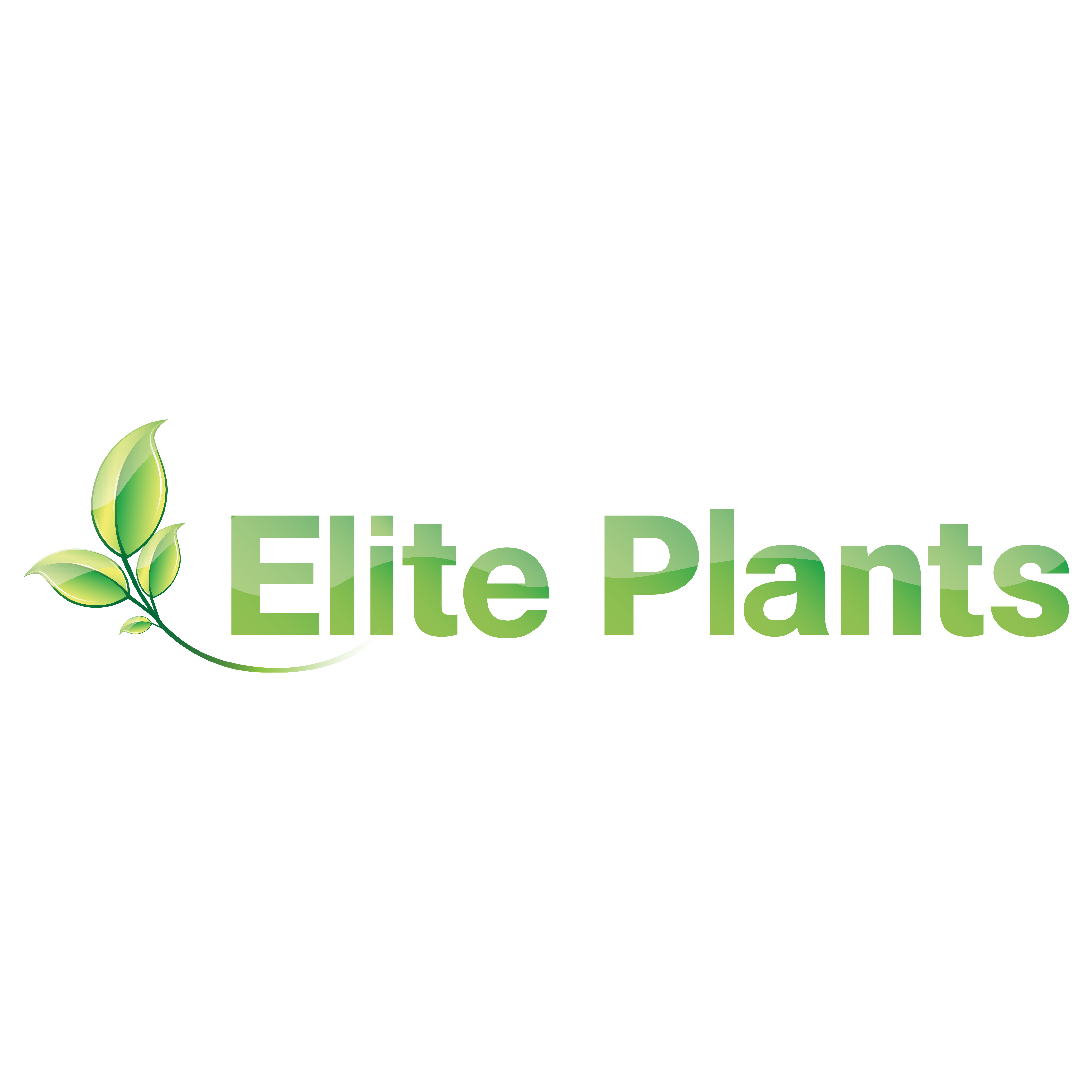 Elite Plants